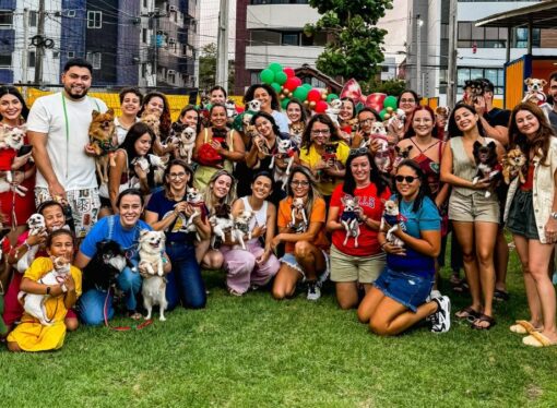 Encontro de pets: Ville des Plantes sedia “Cãofra Clube Chihuahua” em tarde de diversão e convivência para tutores e cãezinhos