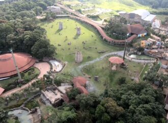 Animalia Park, em São Paulo, surpreende visitantes com mais de 1.400 animais e aviário que é destaque mundial