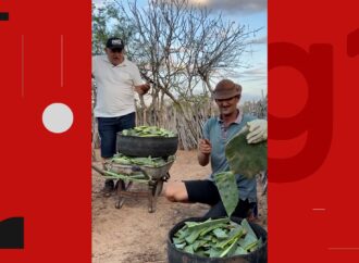 Agricultores da Paraíba viralizam ao mostrar o dia a dia da vida rural — conheça a história que conquistou a internet