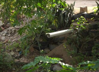 Mortandade de peixes em Campina Grande: estudo aponta degradação do Canal das Piabas e poluição chegando ao Açude Velho