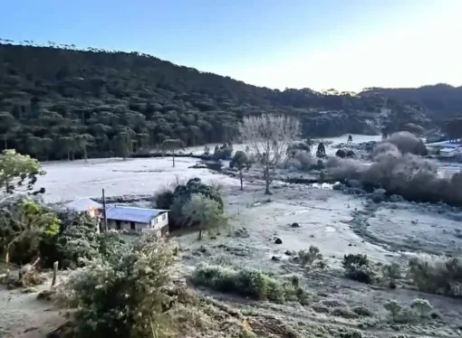 Onda polar despenca termômetros em Santa Catarina e Serra registra -9,1°C com geada ampla