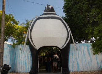 Aquário Paraíba reúne educação ambiental, pinguins e espécies exóticas em João Pessoa