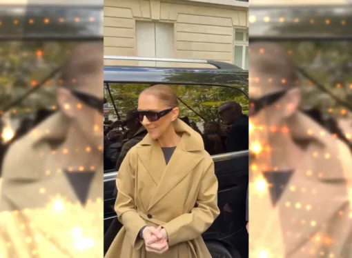 Ovacionada em Paris, Céline Dion prepara maratona de shows após seis anos longe dos palcos
