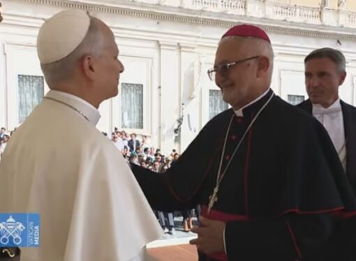 Dom Manoel Delson participa de audiência com o Papa Leão XIV no Vaticano
